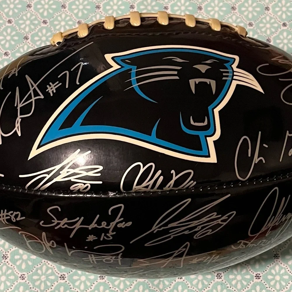 🏈 Baden Collector Series Souvenir Collectable Panthers NFL Football